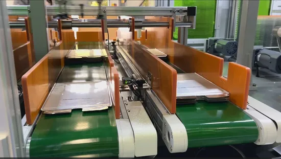 Pouch Battery Module Pack Assembly Line with EV PLC Control